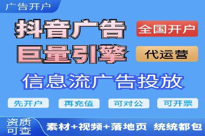 某电商平台的SEM策略与效果展示